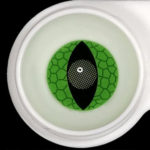 ⁦Green Snake⁩ – תמונה ⁦3⁩